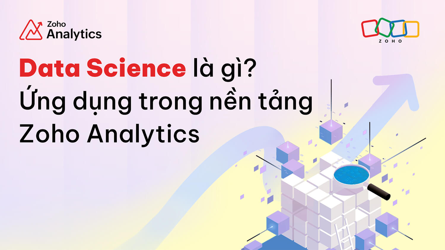 Data Science là gì? Ứng dụng trong nền tảng Zoho Analytics