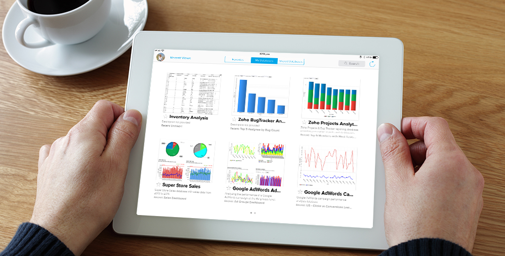 zoho-reports-ipad-app