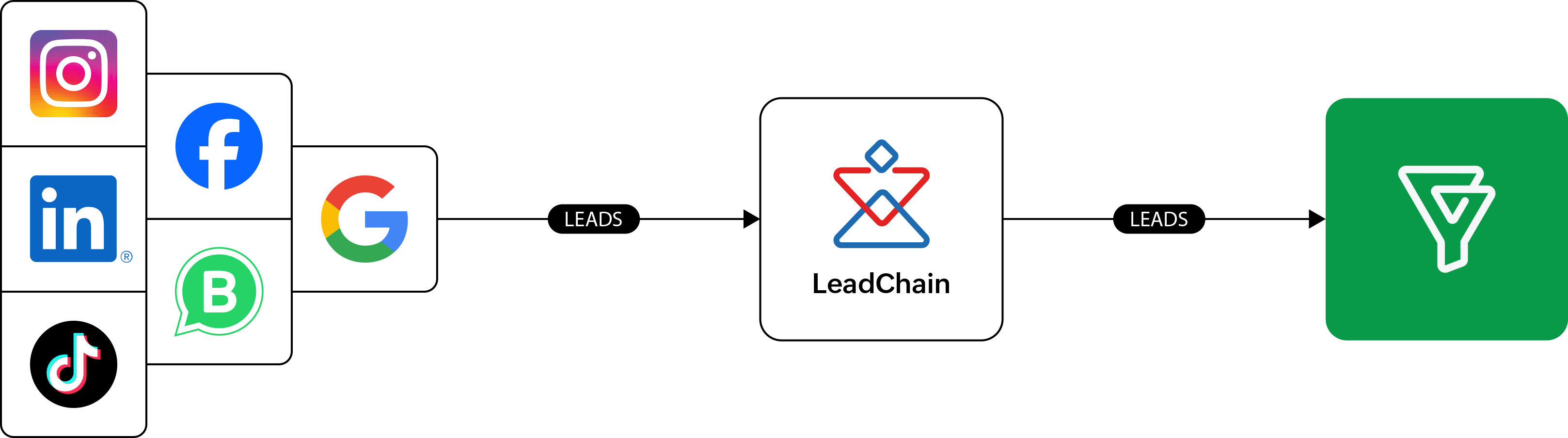 Capturing social media ad leads in Bigin