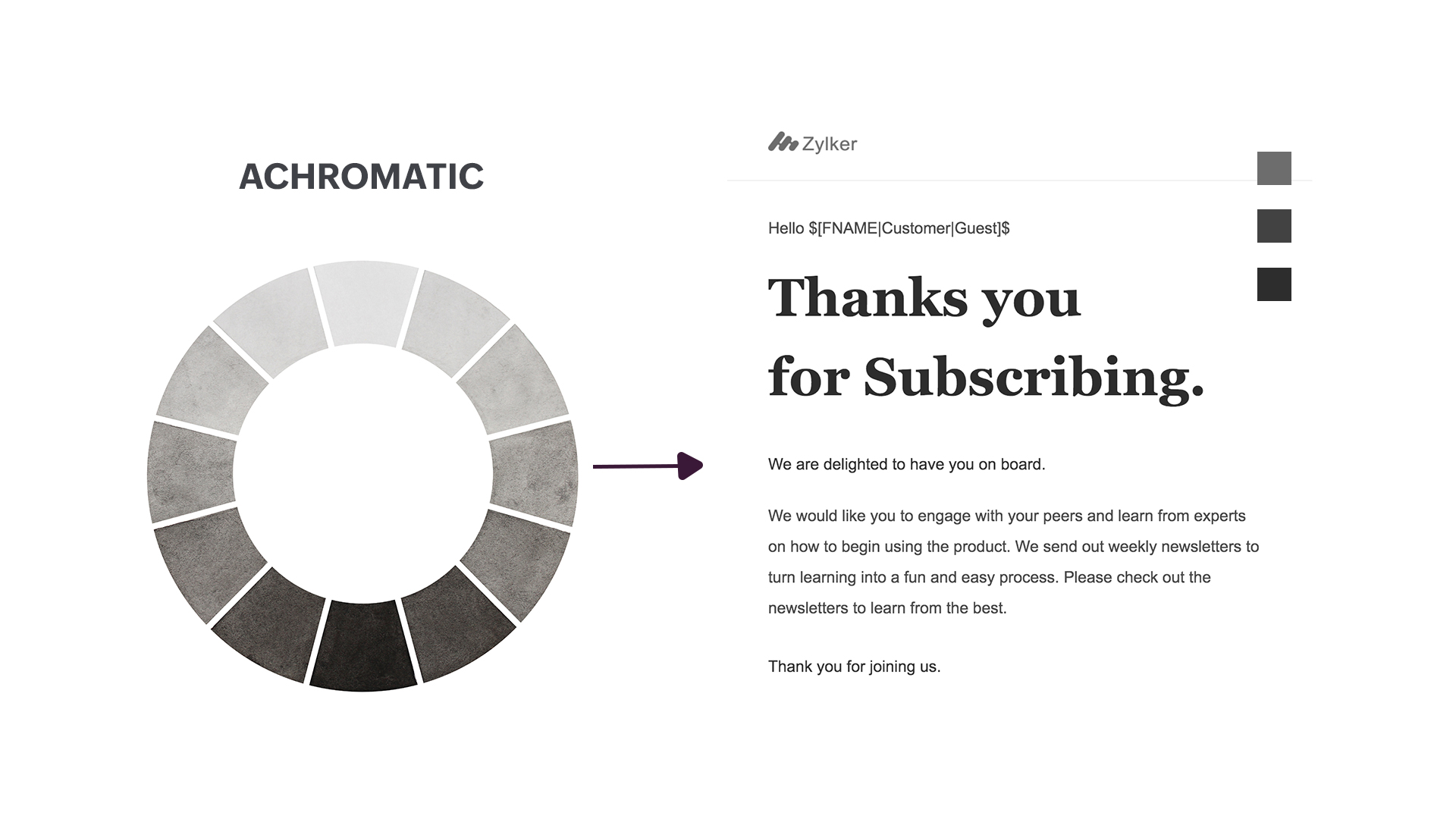 ACHROMATIC (Light Grey-Grey) Color Palette