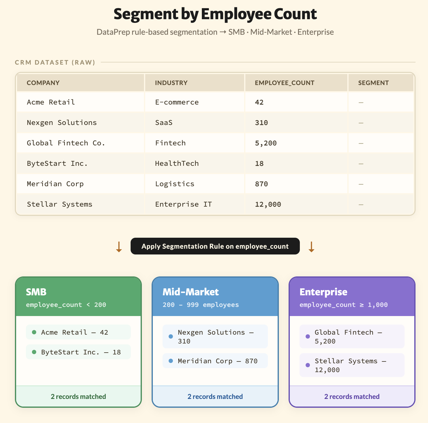 crm data segmentation