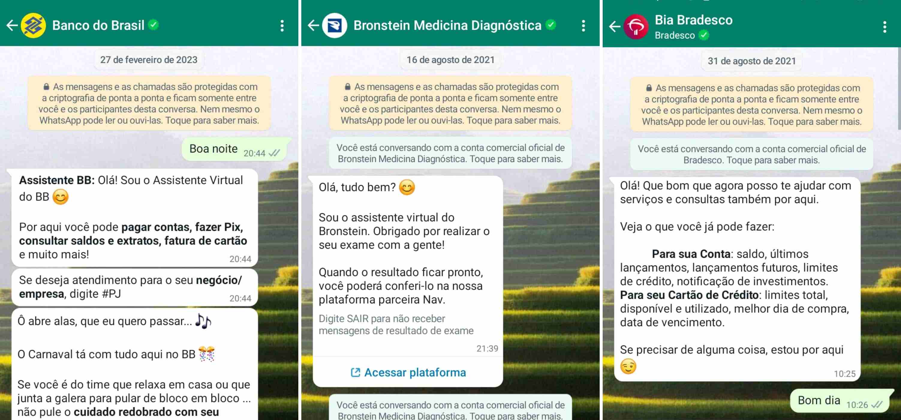 Como potencializar seu resultado usando ChatBot. 