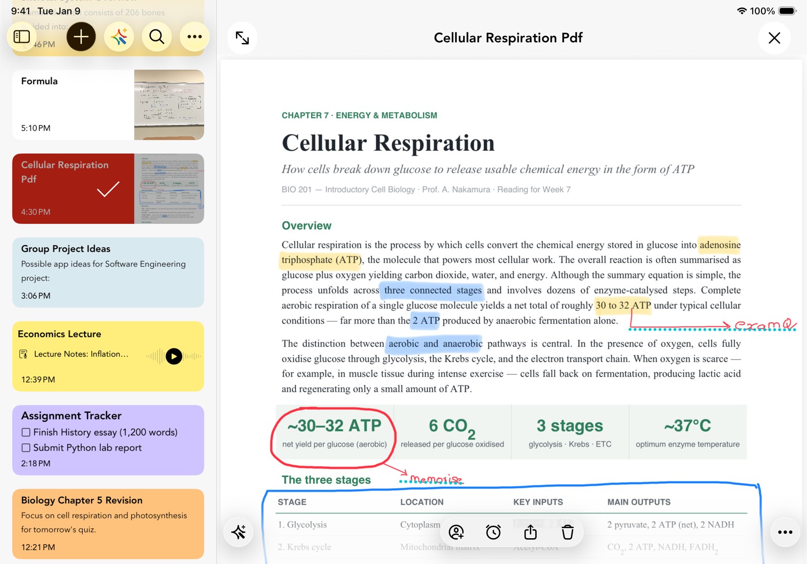 PDF annotation in Notebook for iPad