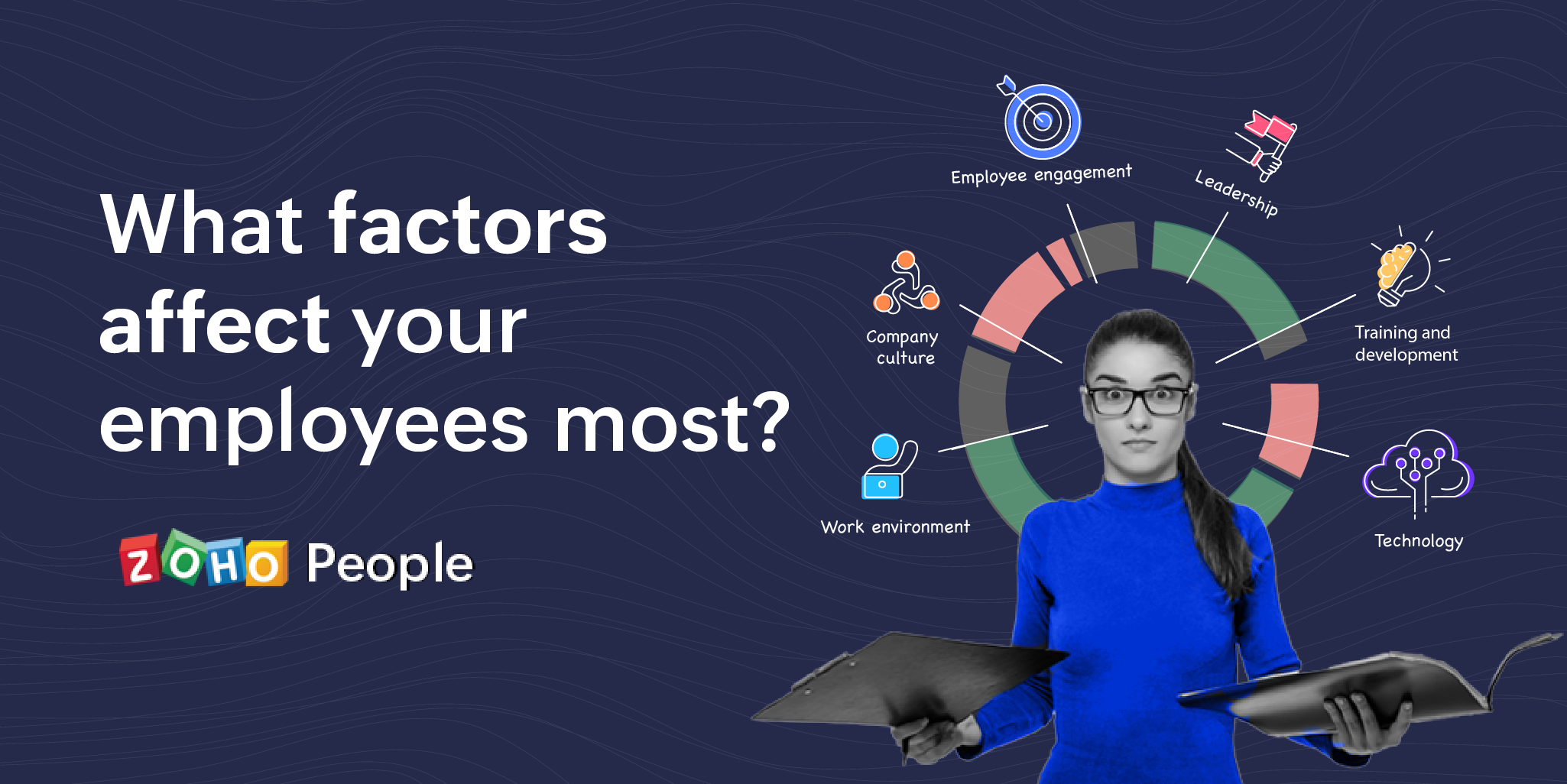 How different organizational factors influence employee productivity