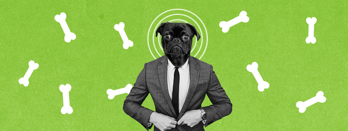 What software owes to dog food